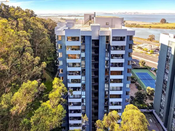 555 Pierce St #520, Albany, CA 94706