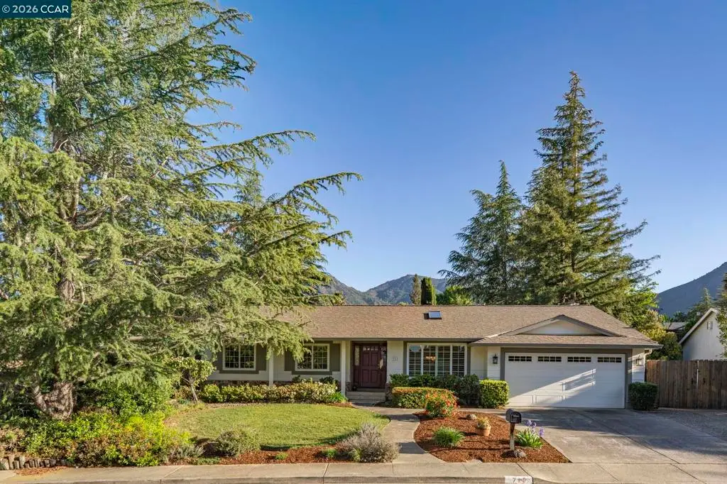 711 Bloching Cir, Clayton, CA 94517 - #1