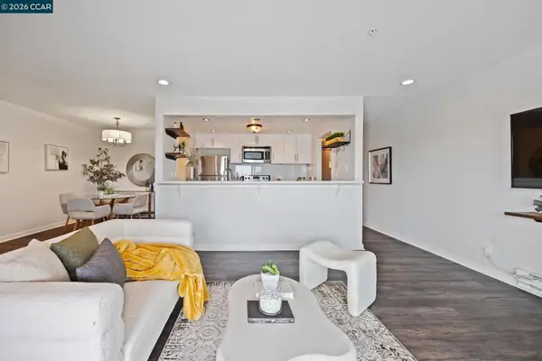 417 Evelyn Avenue #302, Albany, CA 94706