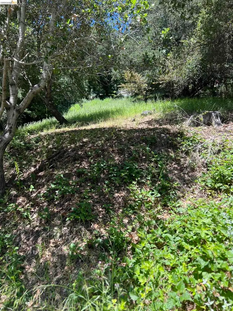 Beauforest Drive, Oakland, CA 94603 - #1