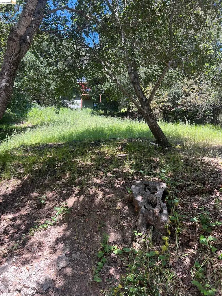 Beauforest Drive, Oakland, CA 94603 - #3