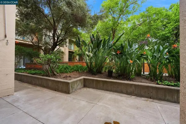 460 N Civic Dr #302, Walnut Creek, CA 94596