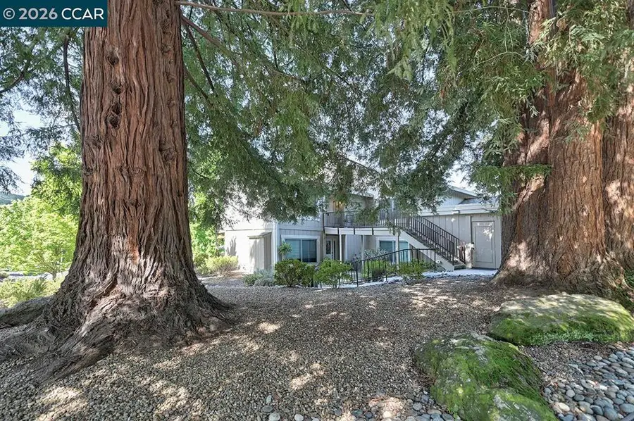 2175 Cactus Ct #1, Walnut Creek, CA 94595 - #2