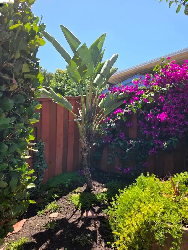 125 Paulette Way, Antioch, CA 94509