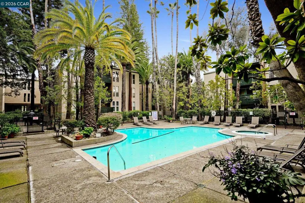 1246 Walker Ave #210, Walnut Creek, CA 94596 - #1