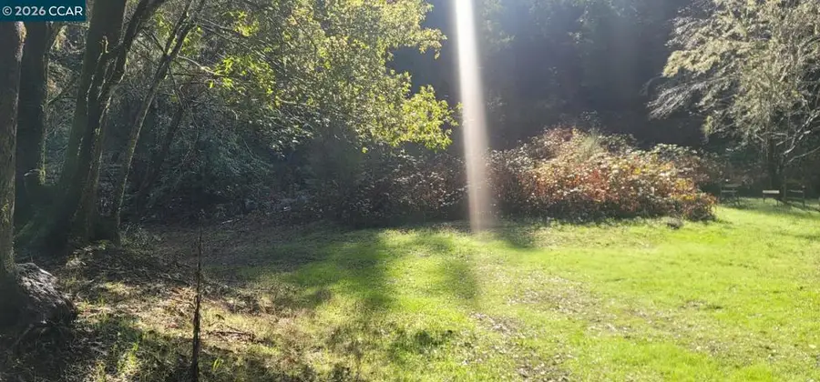 11190 Mcpeak Rd, Forestville, CA 95436 - #2