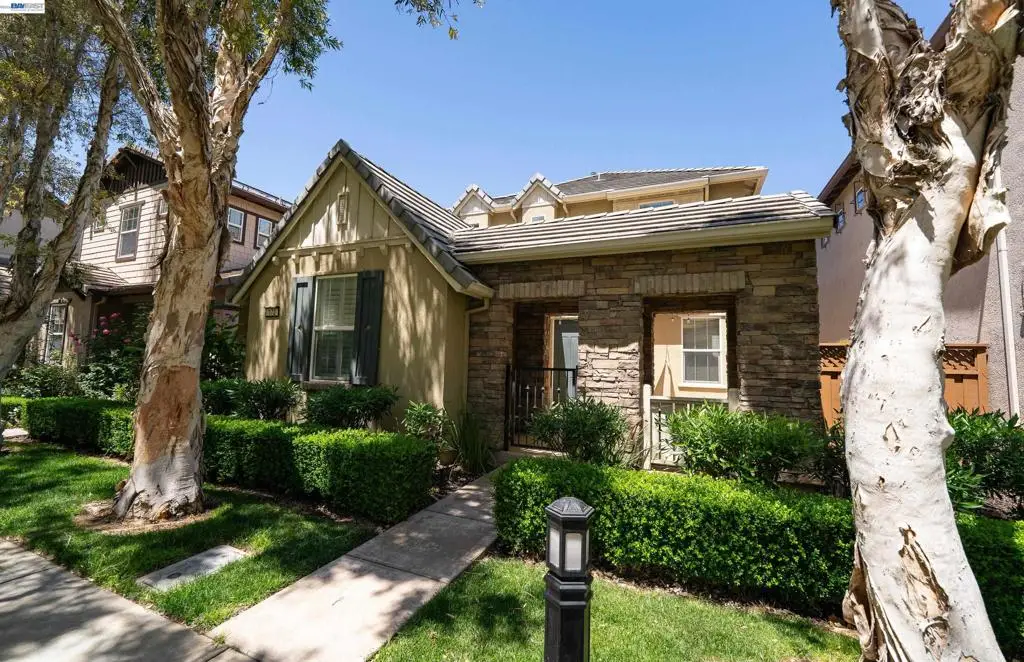 172 W Erics Way, Mountain House, CA 95391 - #1