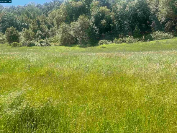 1180 Bear Creek Rd, Martinez, CA 94553