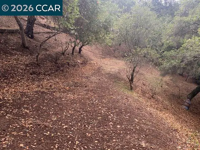 Mountain View Ave, Oakland, CA 94605 - #2