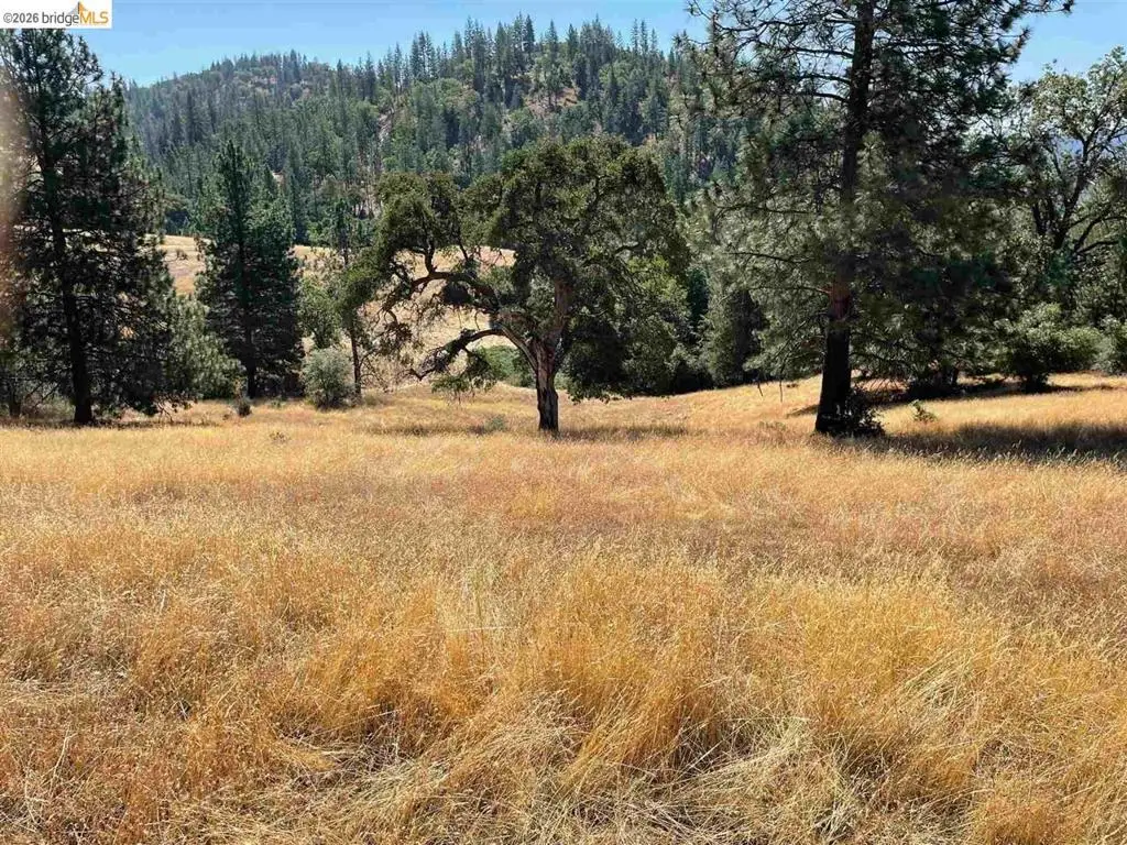 00000 Forrest Rd 1n19, Tuolumne, CA 95379 - #1