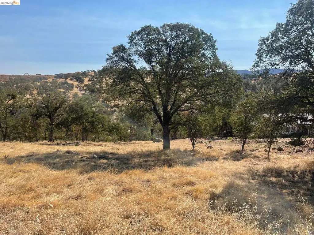 6647 Cane Lane, Valley Springs, CA 95252 - #1