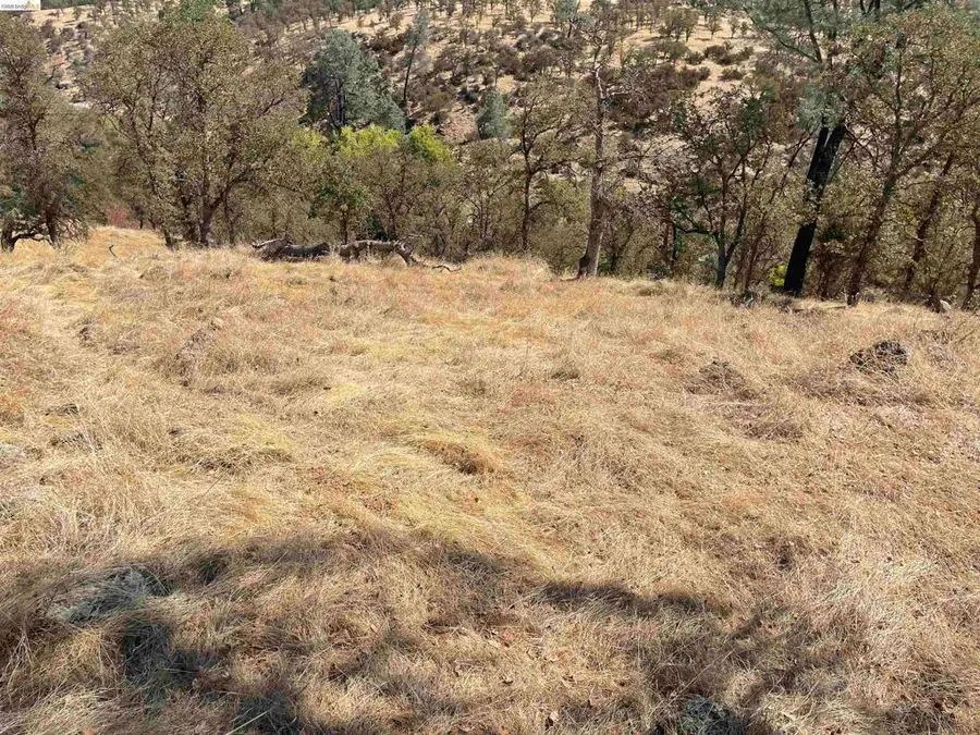 6647 Cane Lane, Valley Springs, CA 95252 - #3