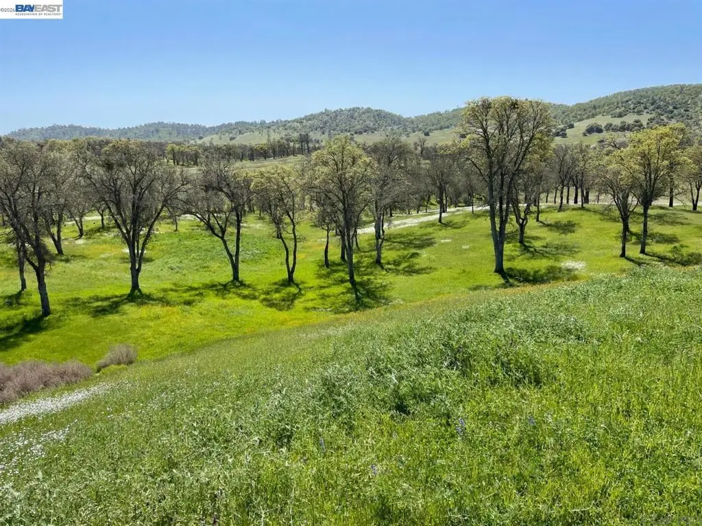 345 Hawkridge Road, Copperopolis, CA 95228 - #1