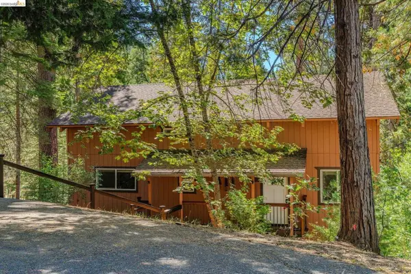 718 Mauna Kea Dr, Arnold, CA 95223