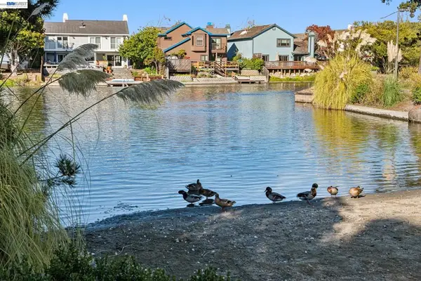 169 Diapian Bay, Alameda, CA 94502