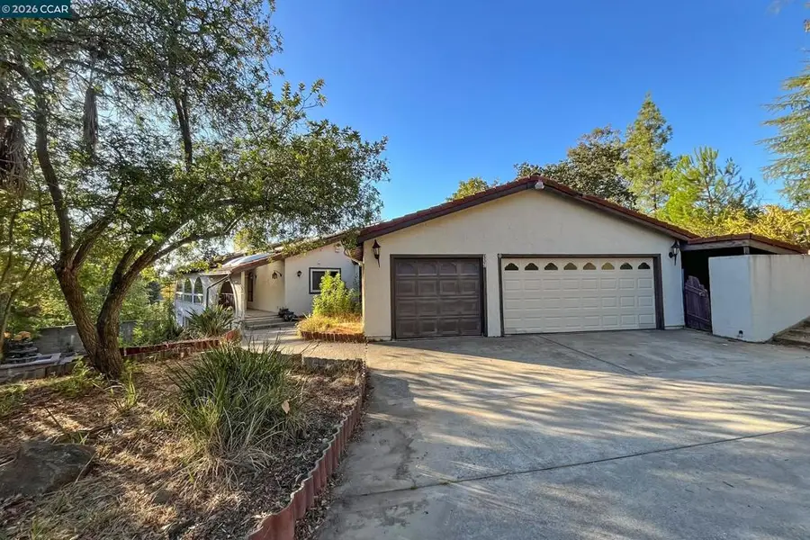 337 Livorna Heights Rd, Alamo, CA 94507 - #3