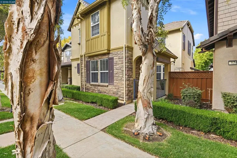 180 W Erics Way, Mountain House, CA 95391 - #2