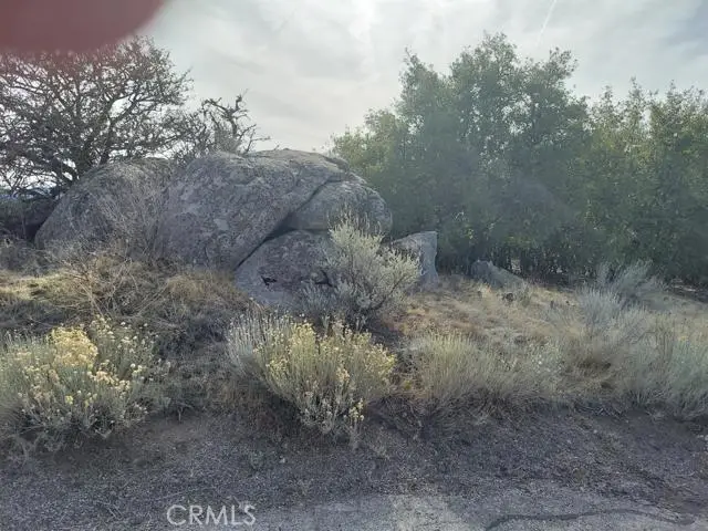 0 Amberwood Court, Tehachapi, CA 93561 - Image #2