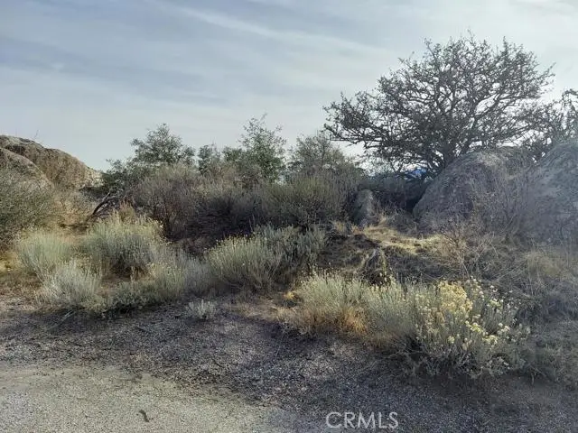 0 Amberwood Court, Tehachapi, CA 93561 - Image #3