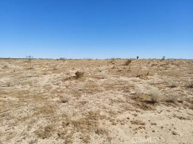 0 Bellflower Street, Adelanto, CA 92301 - #3