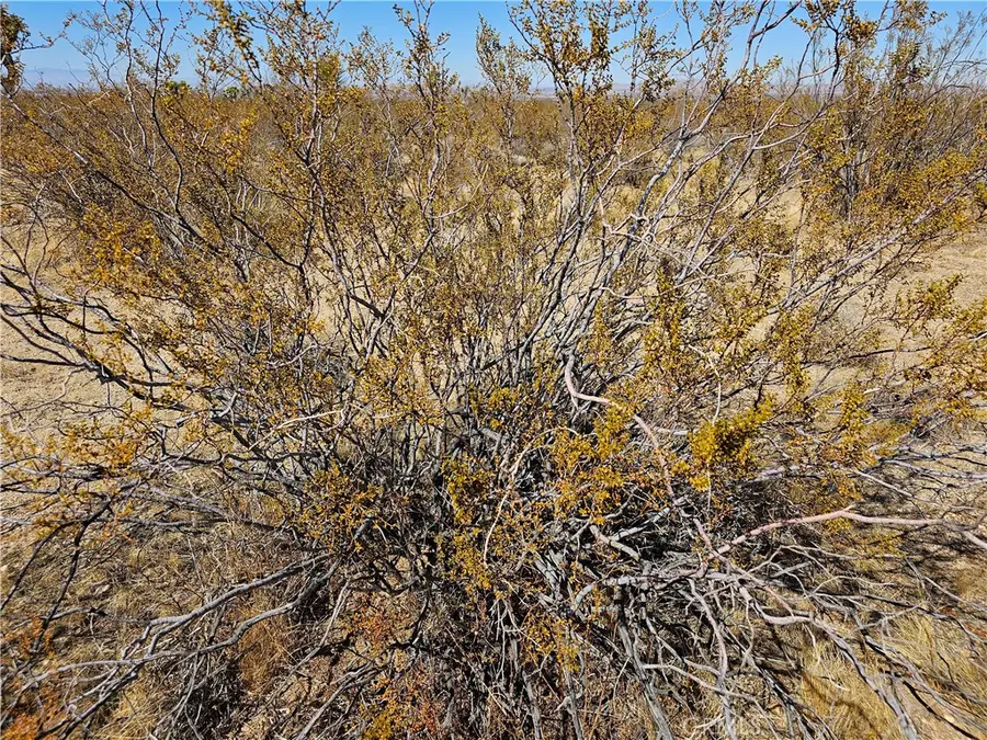 0 Avenue R, Palmdale, CA 93591 - Image #2