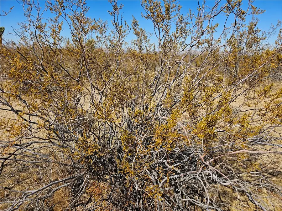 0 Avenue R, Palmdale, CA 93591 - Image #3