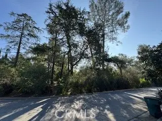 0 Burleigh Drive, Pasadena, CA 91105 - #1