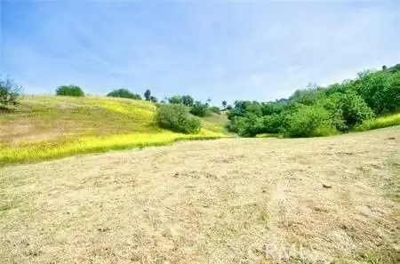 1043 Via Romales, San Dimas, CA 91773 - Image #3