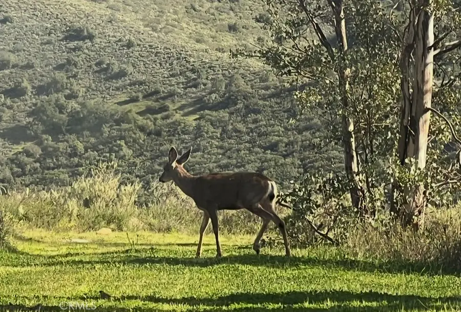 0 0, San Juan Capistrano, CA 92675 - #3