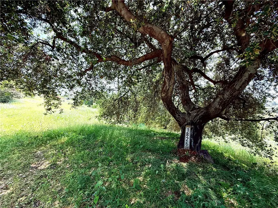 1826 Bluebird Road, Glendora, CA 91741 - #2