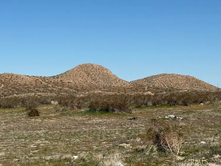 206 X9 206 S Vic Ave, Llano, CA 93544 - #2