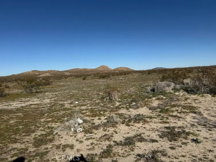 206 X9 206 S Vic Ave, Llano, CA 93544 - #3