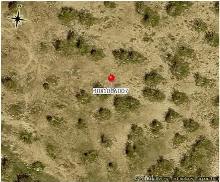 188 Avenue S, Llano, CA 93591 - #1