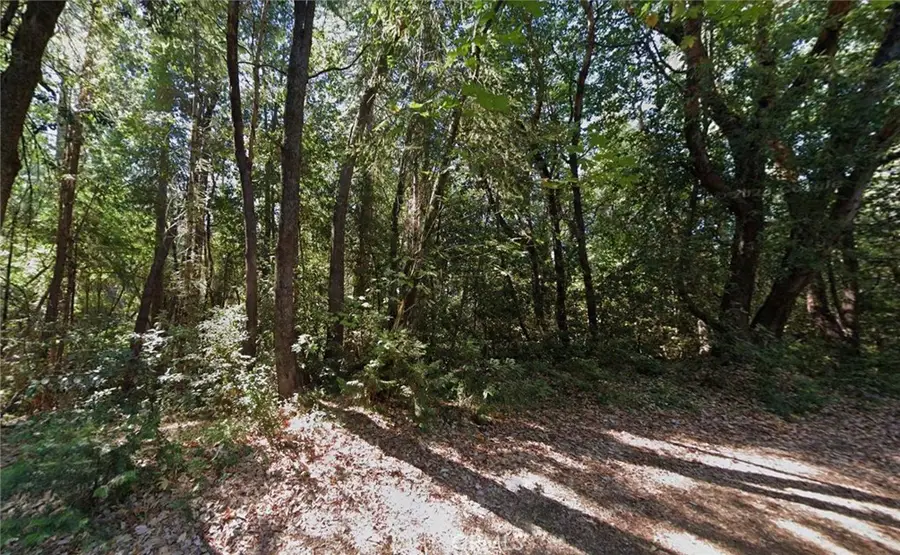 10807 Forbestown Road, Challenge, CA 95925 - #2