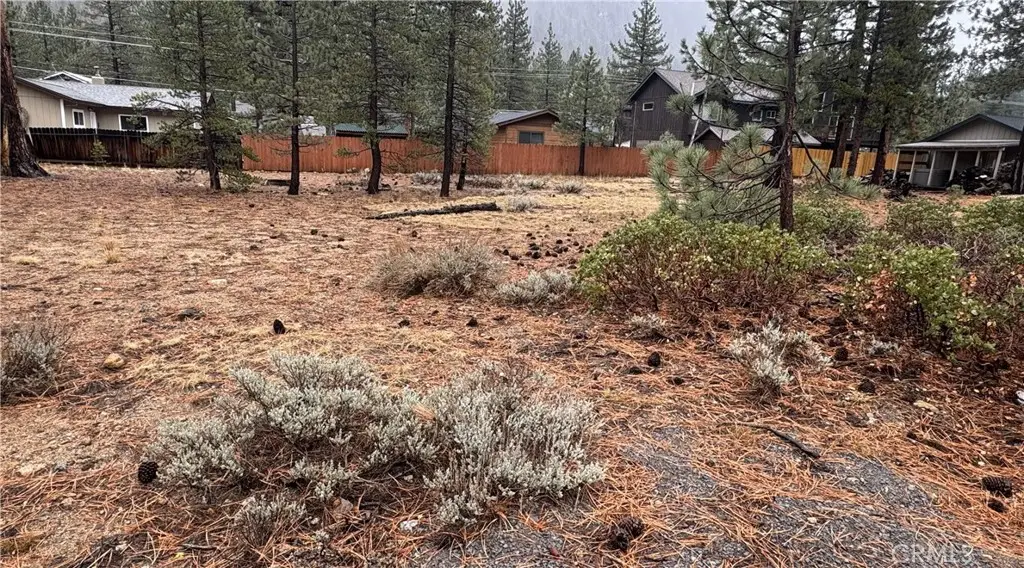 3381 Panorama, South Lake Tahoe, CA 96150 - #1