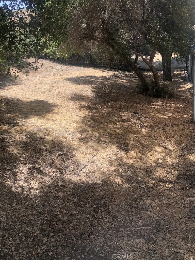 0 North Trail, Kagel Canyon, CA 91342 - #1