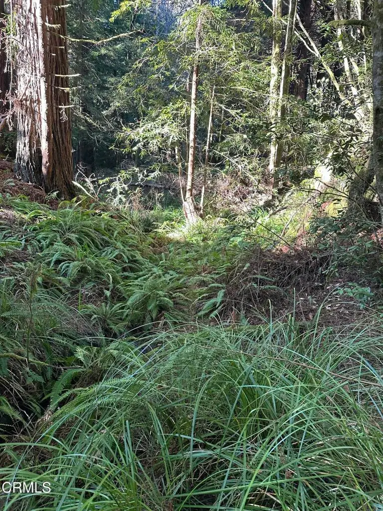 17500 Redwood Springs Drive, Fort Bragg, CA 95437 - Image #3