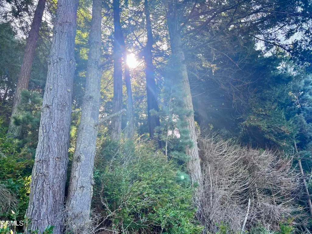 15301 Forest View Road, Manchester, CA 95459 - Image #1