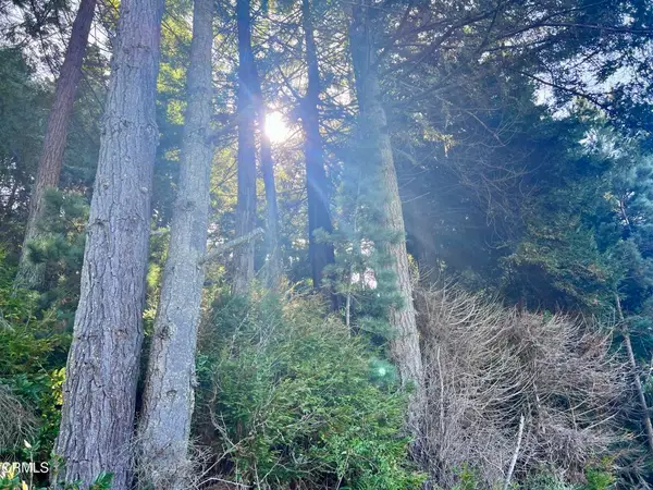 15301 Forest View Road, Manchester, CA 95459