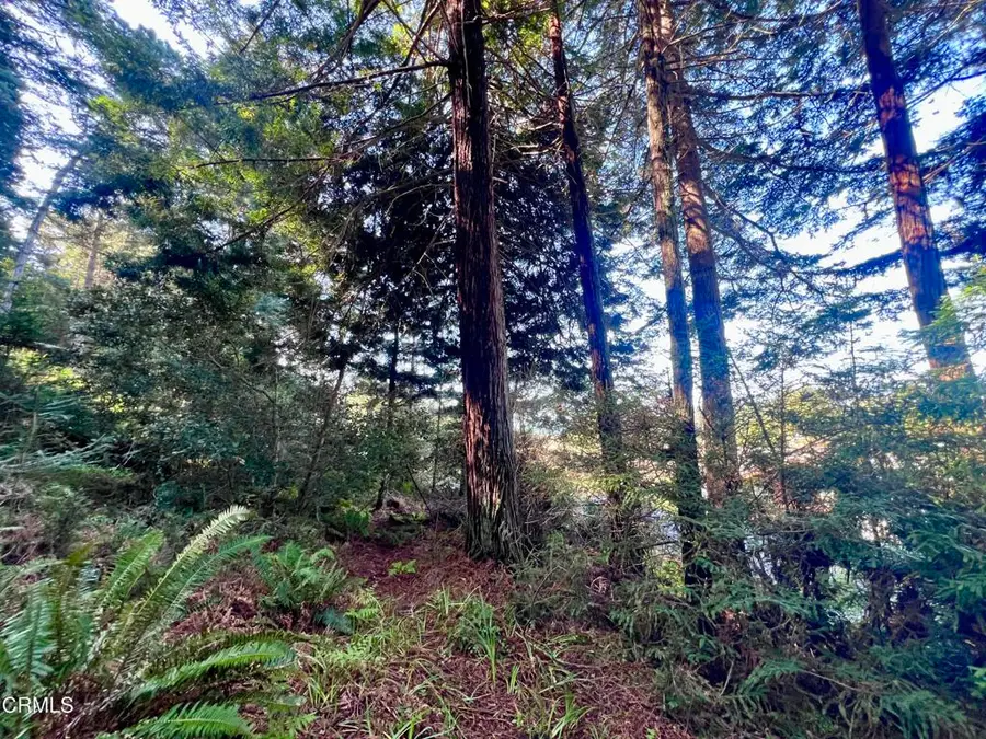 15301 Forest View Road, Manchester, CA 95459 - Image #2