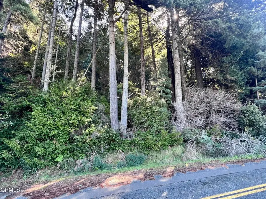 15301 Forest View Road, Manchester, CA 95459 - Image #3