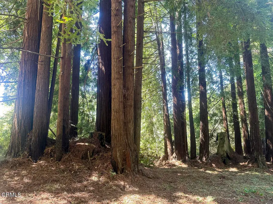 31320 Airport Road, Fort Bragg, CA 95437 - Image #3