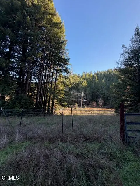 7800 Flynn Creek Road, Comptche, CA 95427