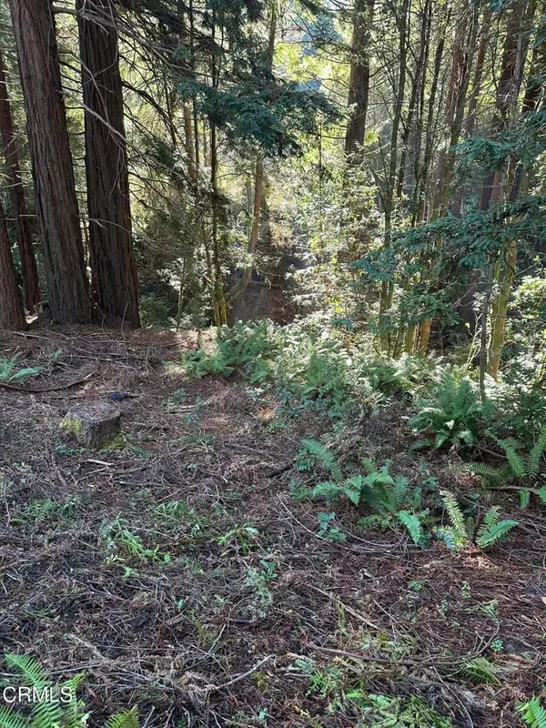 17500 Redwood Springs Drive, Fort Bragg, CA 95437