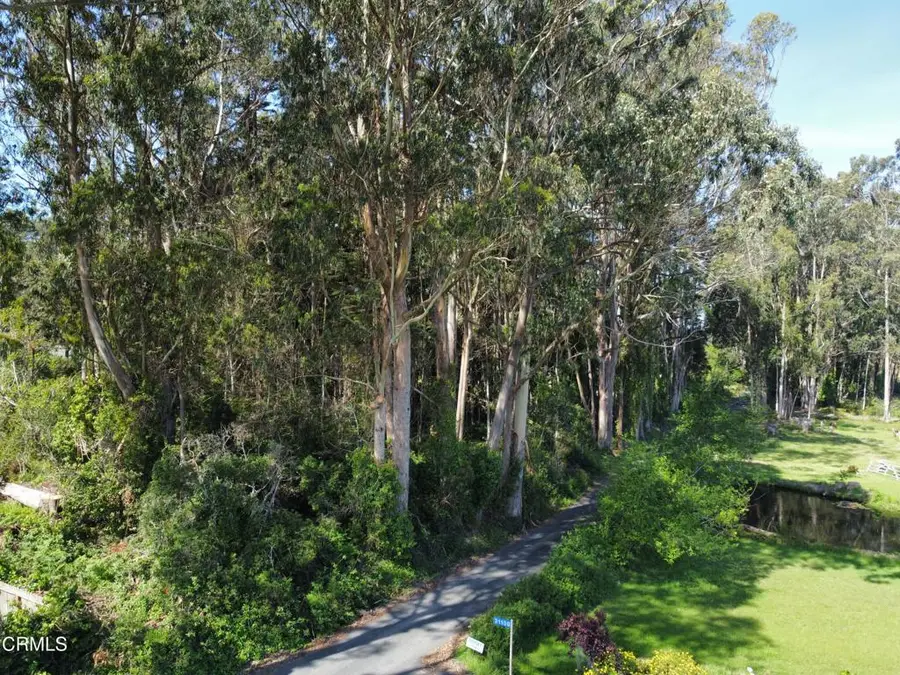 32021 Boice Lane, Fort Bragg, CA 95437 - #3