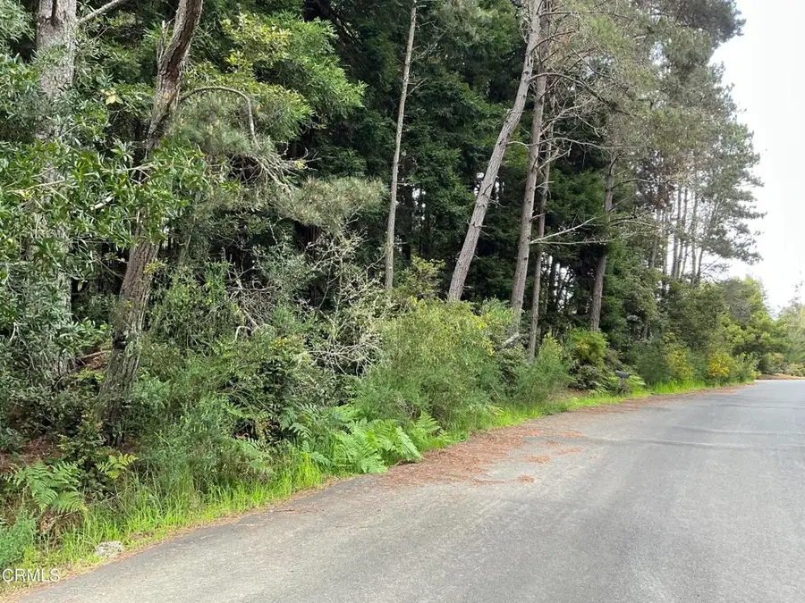 0 Amethyst Street, Fort Bragg, CA 95437 - #2