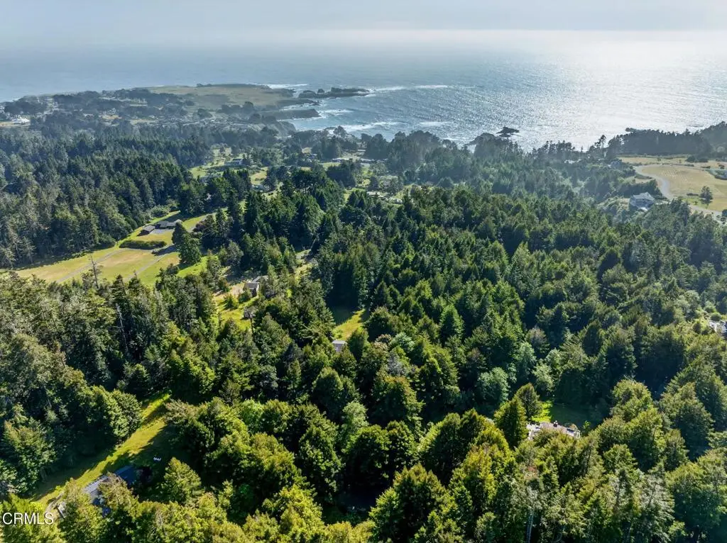 44720 Jack Peters Creek Road, Mendocino, CA 95460 - #1