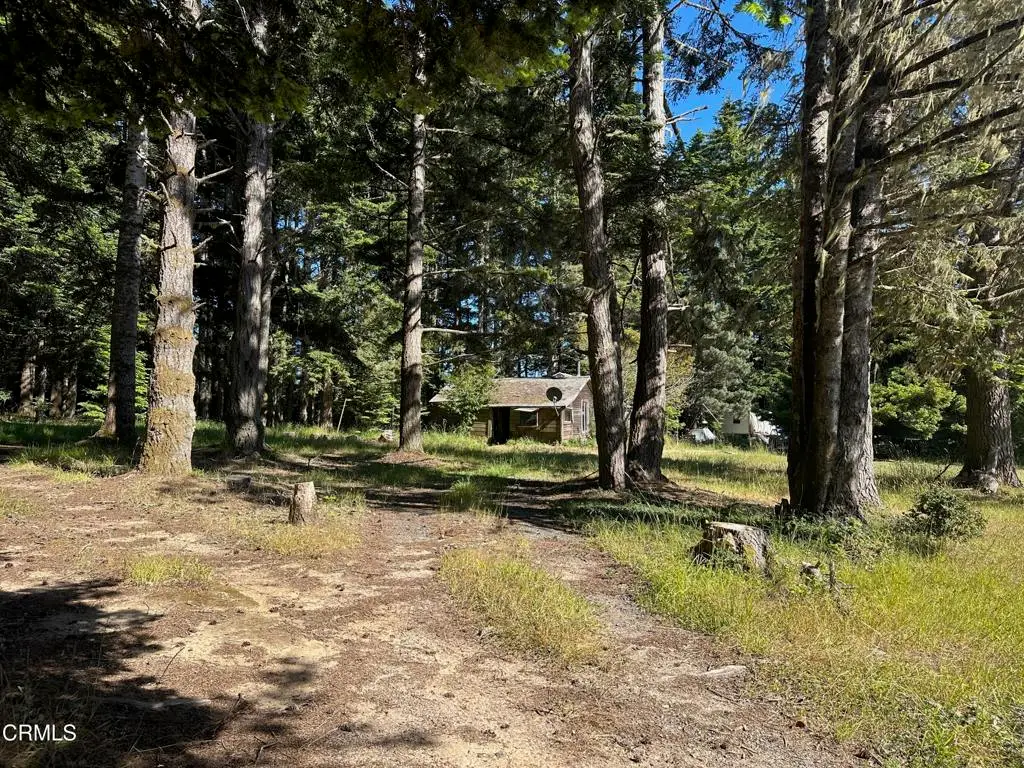 2901 Albion Ridge B Road, Albion, CA 95410 - #1