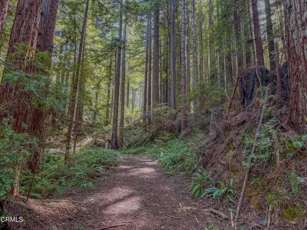 0 California 20, Fort Bragg, CA 95437