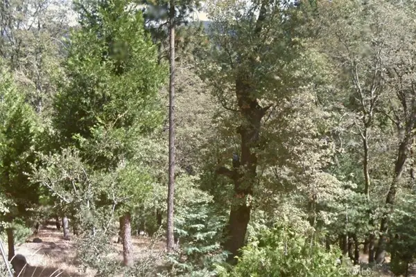 40 Fir Street, Cedarpines Park, CA 92322